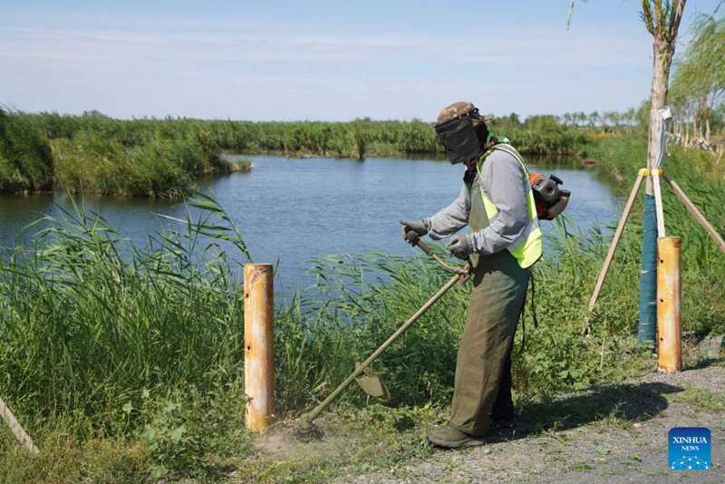 Vivutio vya Mandhari ya Ardhi Oevu ya Xinjiang, China