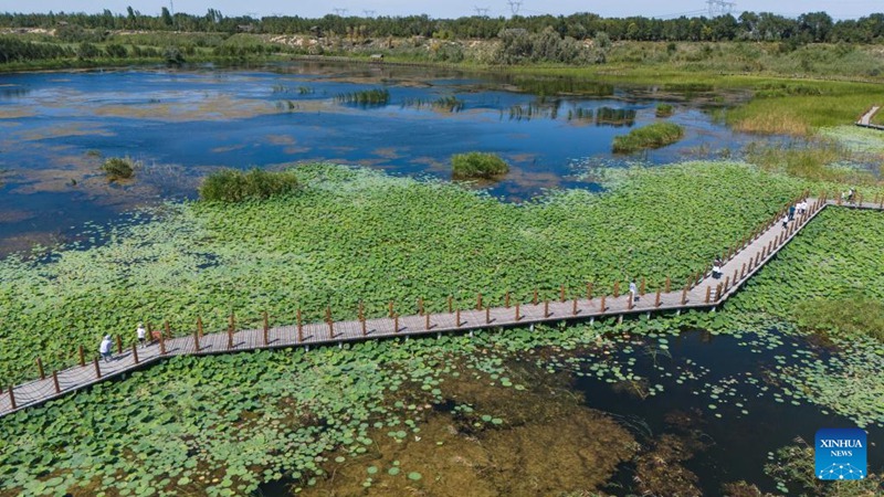 Vivutio vya Mandhari ya Ardhi Oevu ya Xinjiang, China