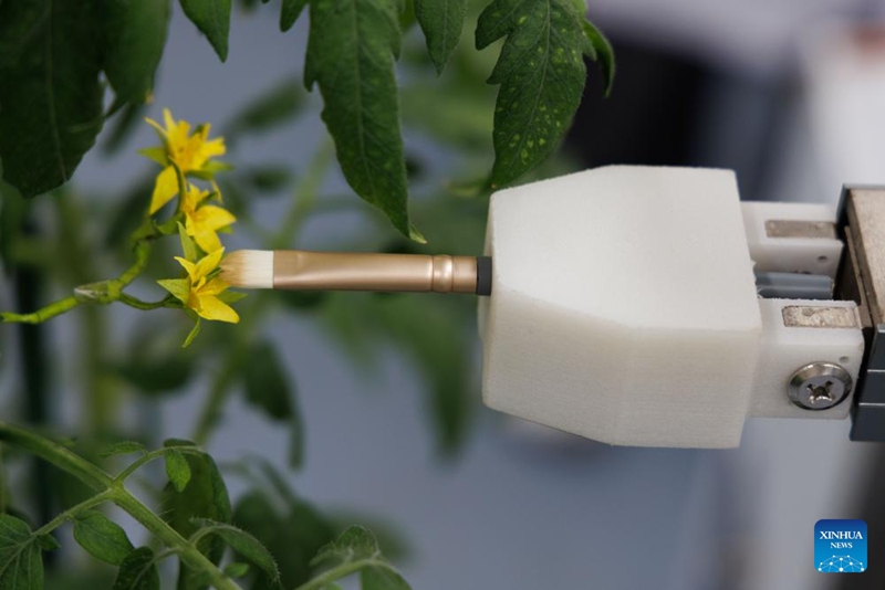 Wanasayansi wa China watengeneza roboti ya kwanza duniani inayosaidia mchakato wa kilimo cha mbegu