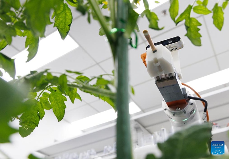 Wanasayansi wa China watengeneza roboti ya kwanza duniani inayosaidia mchakato wa kilimo cha mbegu