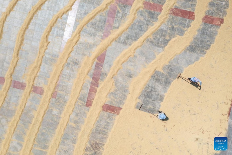 Watu wakausha nafaka kwenye eneo la jengo la serikali kusini magharibi mwa China