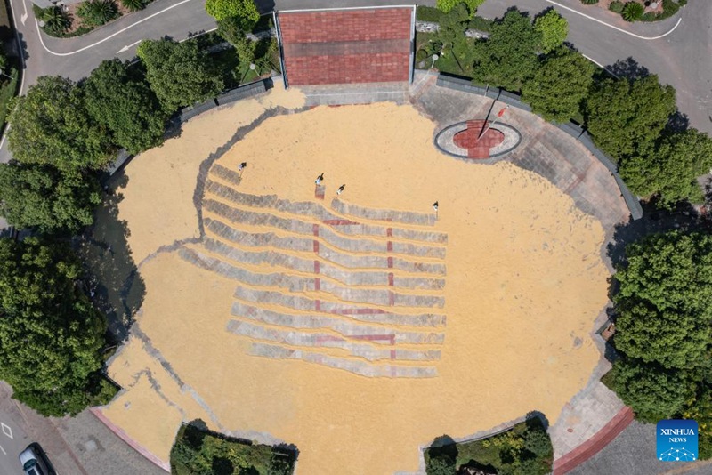 Watu wakausha nafaka kwenye eneo la jengo la serikali kusini magharibi mwa China