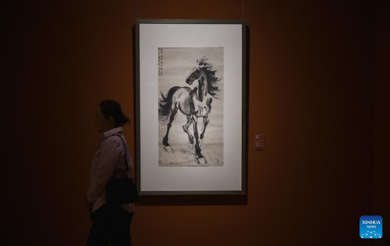 Maonyesho ya kuadhimisha miaka 80 ya ushindi wa vita dhidi ya uvamizi wa Wajapan, na ushindi wa kupinga ufashisti yafunguliwa Beijing