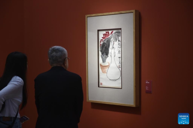 Maonyesho ya kuadhimisha miaka 80 ya ushindi wa vita dhidi ya uvamizi wa Wajapan, na ushindi wa kupinga ufashisti yafunguliwa Beijing