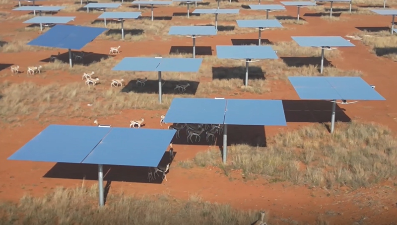Miaka 20 ya wazo la “milima ya kijani na maji safi ni dhahabu na fedha”: Teknolojia ya nishati ya jua ya China inayohimiza mustakabali wa nishati ya kijani duniani