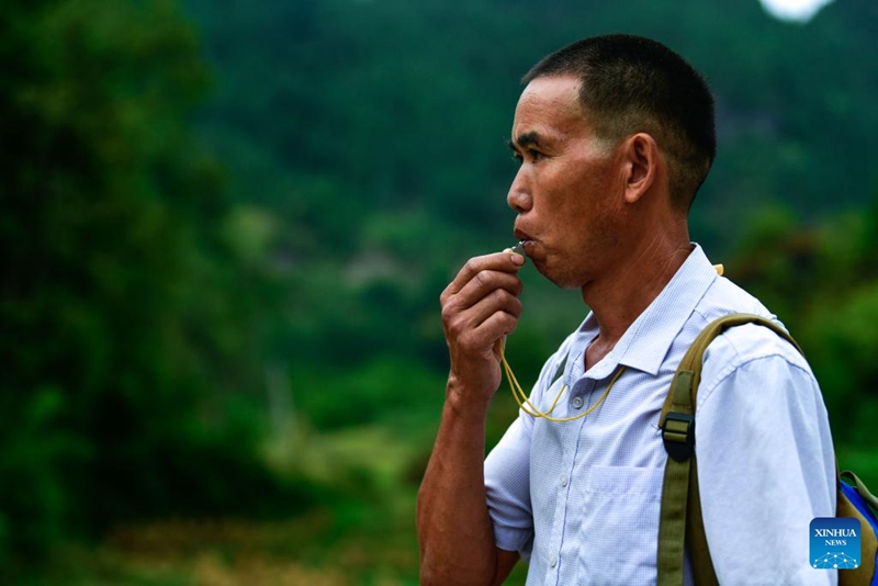 Mwalimu wa kijijini alinda usafiri wa watoto wa kuvuka mkoa kwenda shuleni kwenye mpaka wa mikoa ya Hunan na Guizhou, China