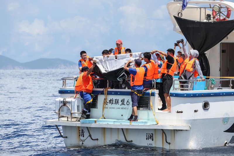 Pomboo aliyekwama asaidiwa kurudi baharini Hainan