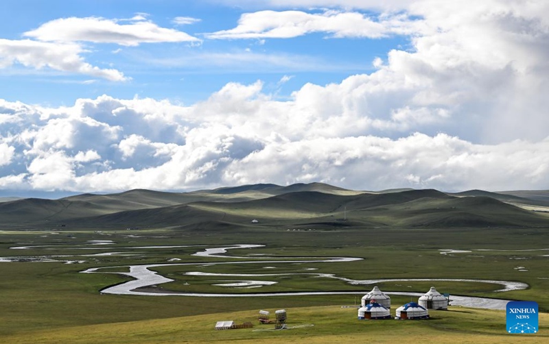 Malisho ya Chenbarhu Banner ya Mongolia ya Ndani, China yaingia majira ya mchipuko