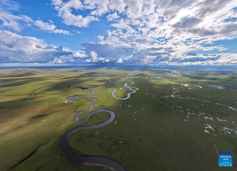 Malisho ya Chenbarhu Banner ya Mongolia ya Ndani, China yaingia majira ya mchipuko
