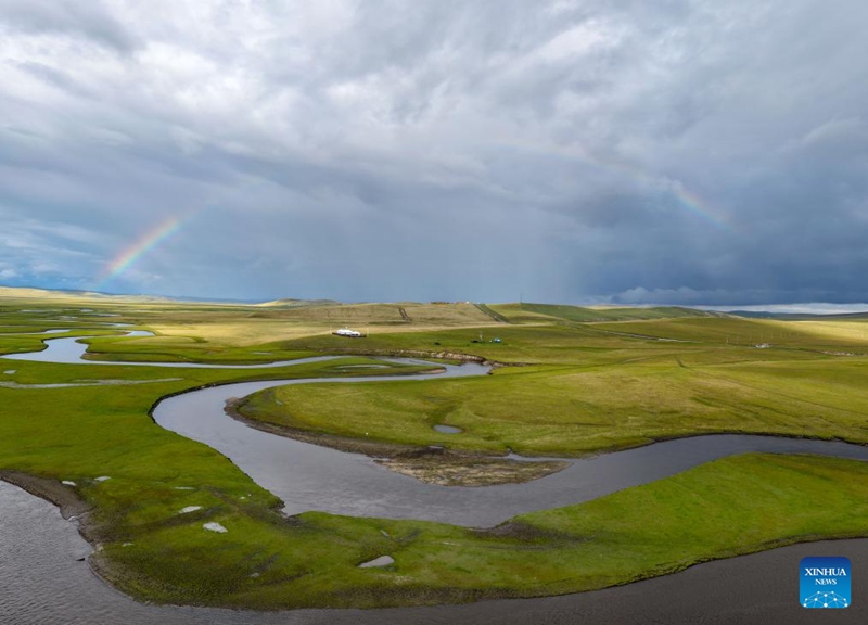 Malisho ya Chenbarhu Banner ya Mongolia ya Ndani, China yaingia majira ya mchipuko