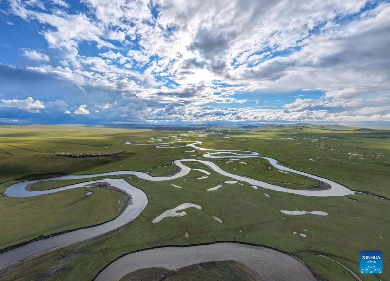 Malisho ya Chenbarhu Banner ya Mongolia ya Ndani, China yaingia majira ya mchipuko