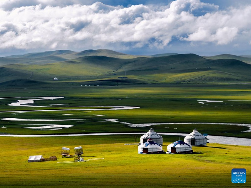 Malisho ya Chenbarhu Banner ya Mongolia ya Ndani, China yaingia majira ya mchipuko