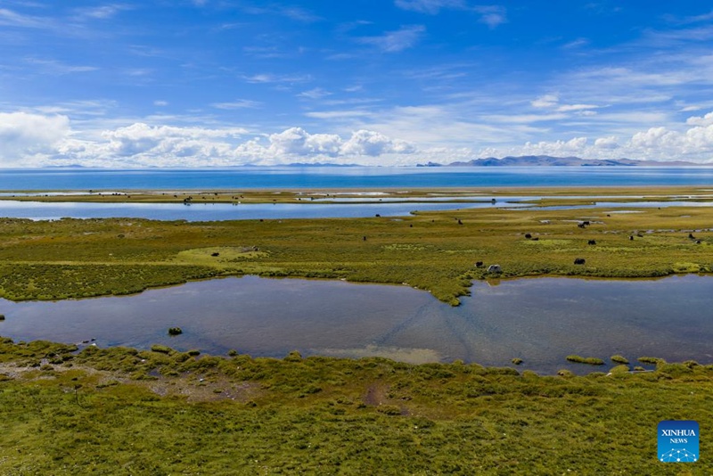 Picha iliyopigwa Septemba 16, 2025 ikionesha mandhari ya Ziwa Nam Co, ambalo ni ziwa la chumvi la mwinuko wa juu zaidi duniani, katika Mkoa unaojiendesha wa Xizang, China. (Xinhua/Jiang Fan)