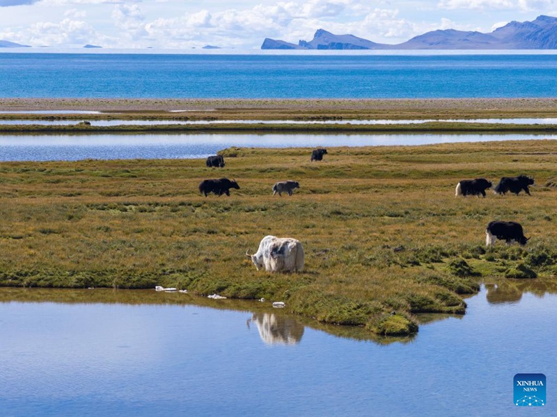 Mandhari ya Ziwa Nam Co, Xizang, China