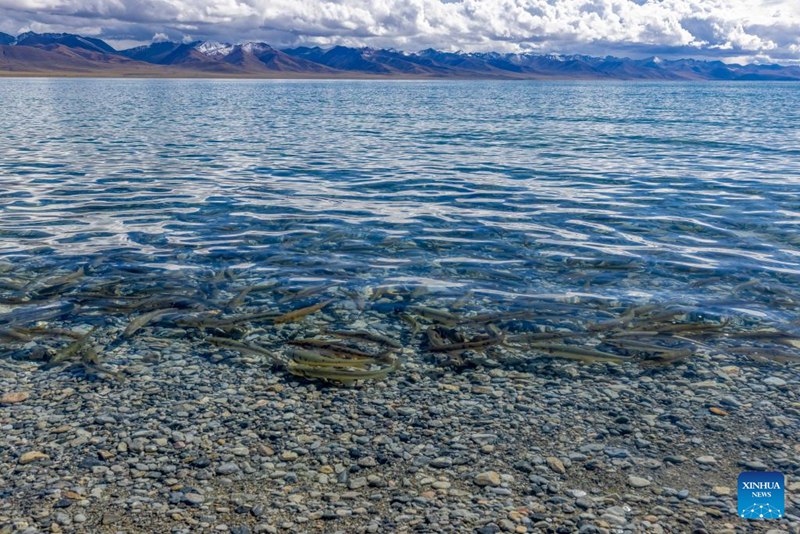 Mandhari ya Ziwa Nam Co, Xizang, China