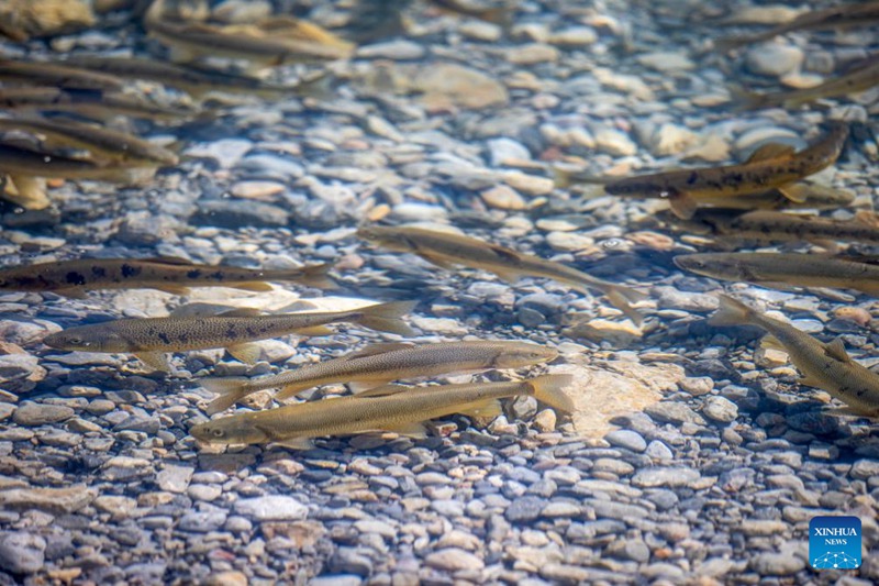 Mandhari ya Ziwa Nam Co, Xizang, China