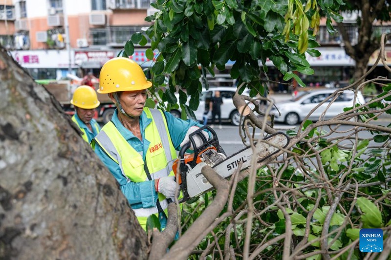 Mfanyakazi akikata miti ili kuepuka mazingira ya hatari mjini Shenzhen, kusini mwa China, Septemba 22, 2025. (Picha na Zhong Zijie/Xinhua)