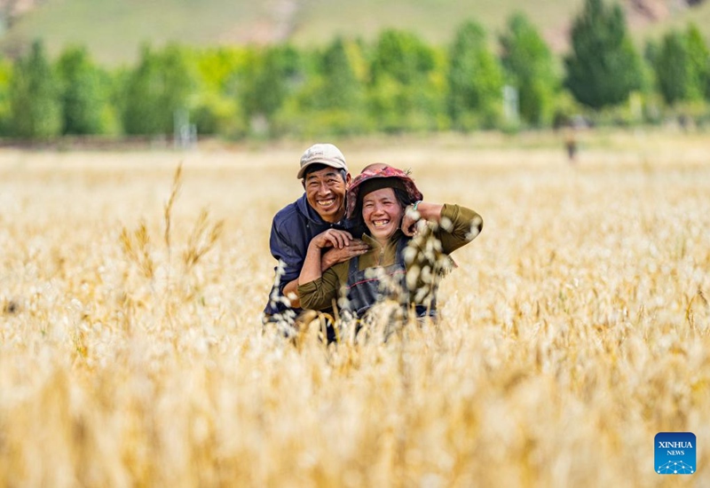 Sikukuu ya mavuno ya wakulima yaadhimishwa katika Mkoa wa Xizang, China