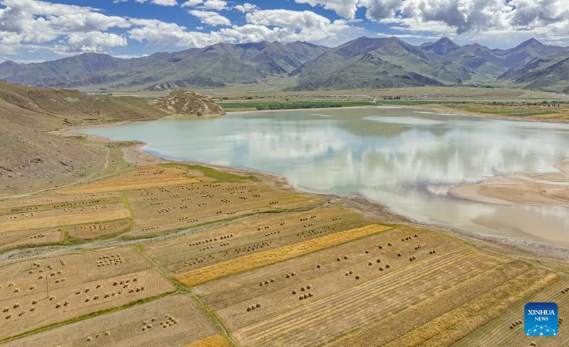 Sikukuu ya mavuno ya wakulima yaadhimishwa katika Mkoa wa Xizang, China