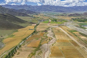 Sikukuu ya mavuno ya wakulima yaadhimishwa katika Mkoa wa Xizang, China