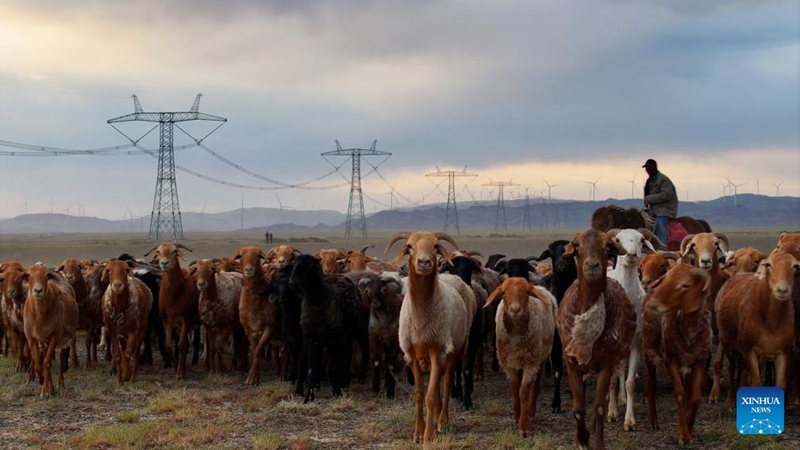 Mkoa wa Xinjiang, China wabadilisha majangwa kuwa sehemu adimu ya kuzalisha nishati mbadala