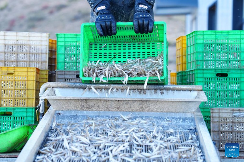 Eneo la Genge la Longyang nchini China laendeleza uvuvi wa samaki wa silva na shughuli za utalii