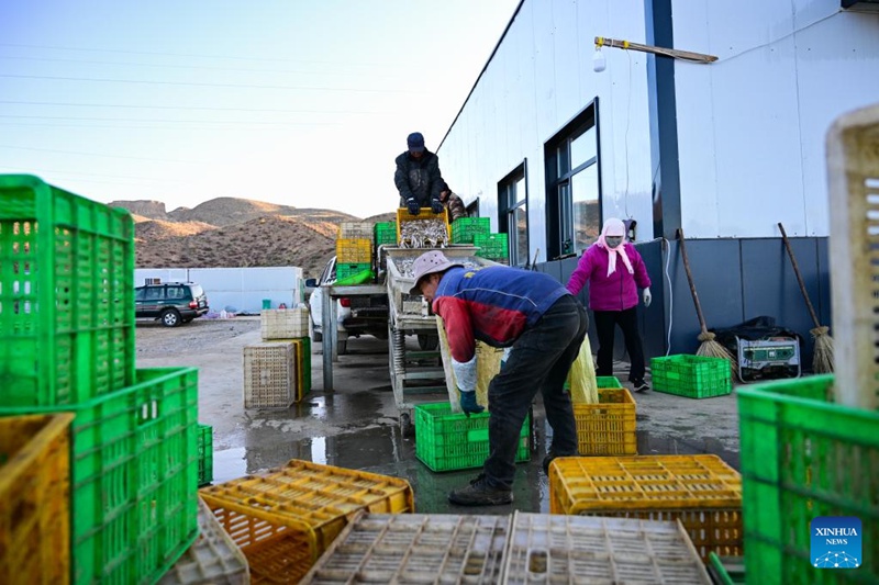 Eneo la Genge la Longyang nchini China laendeleza uvuvi wa samaki wa silva na shughuli za utalii