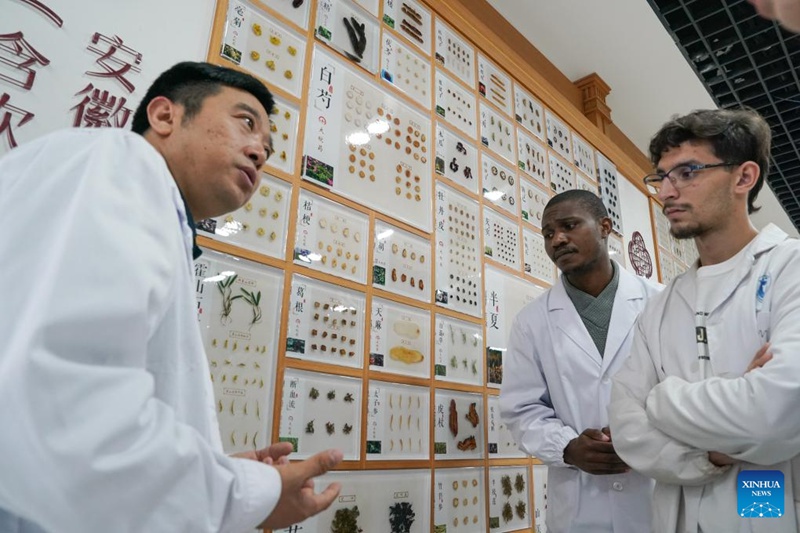 Wanafunzi wa Kimataifa wajifunza matibabu ya jadi ya China mkoani Anhui, China