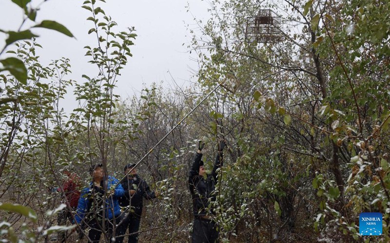 Timu ya watu wa kujitolea Kaskazini Mashariki mwa China yajitahidi kulinda wanyamapori katika eneo la Mto Songhua