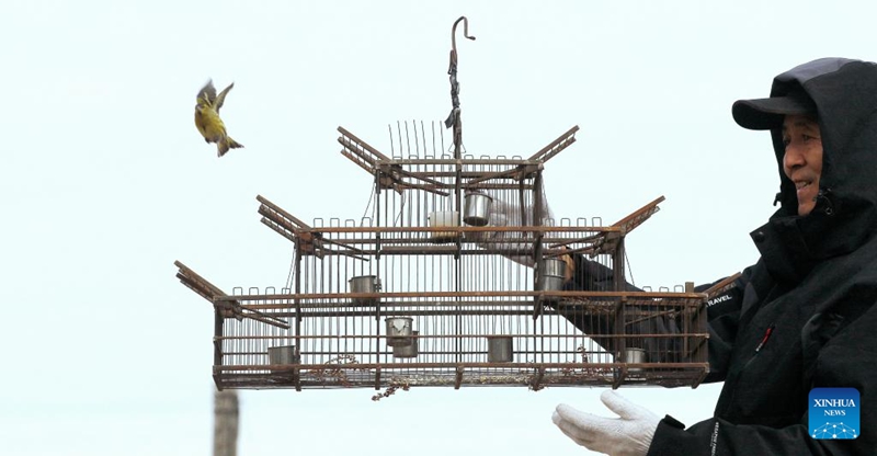 Timu ya watu wa kujitolea Kaskazini Mashariki mwa China yajitahidi kulinda wanyamapori katika eneo la Mto Songhua