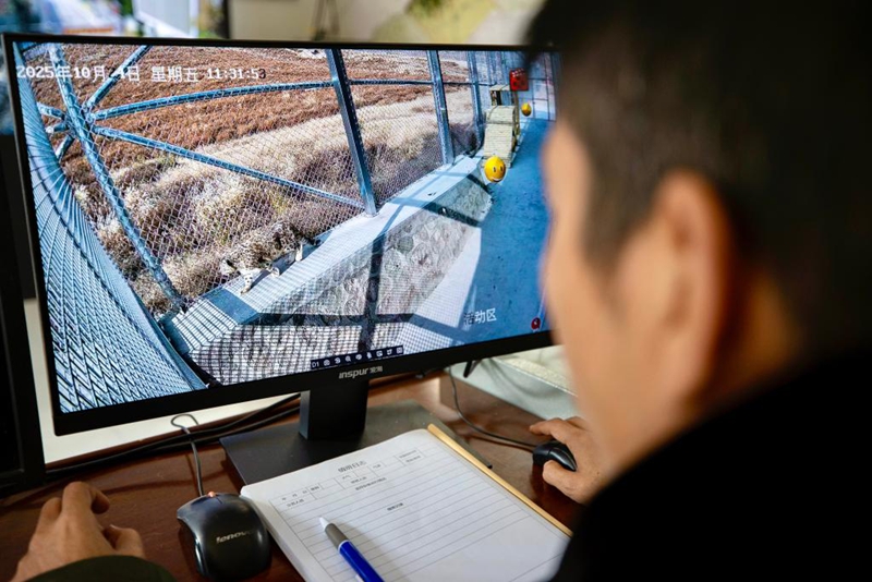 Uhifadhi wa Chui-theluji katika Hifadhi ya Mlima Helan