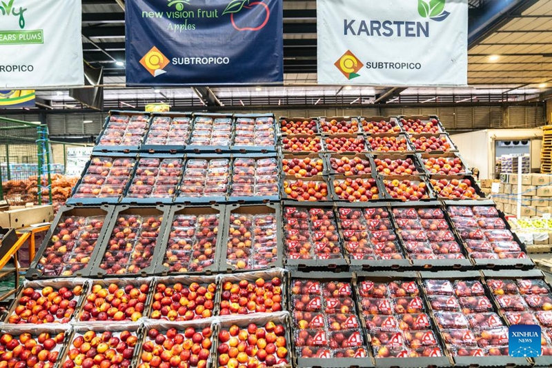 Wafanyabiashara wa matunda wa Afrika Kusini wahifadhi kwa bidii matunda kwa ajili ya kusafirishwa na kuuzwa China