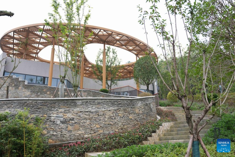 Kituo Kipya cha Uhifadhi na Utafiti wa Panda chaanza kufanya kazi kwa majaribio kusini mwa China