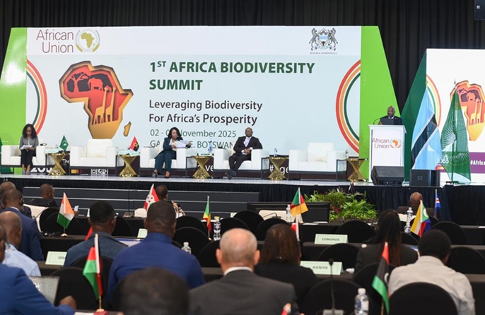 AU yatoa wito wa hatua zenye ufanisi ili kulinda mazingira ya asili kwa ustawi wa bara hilo