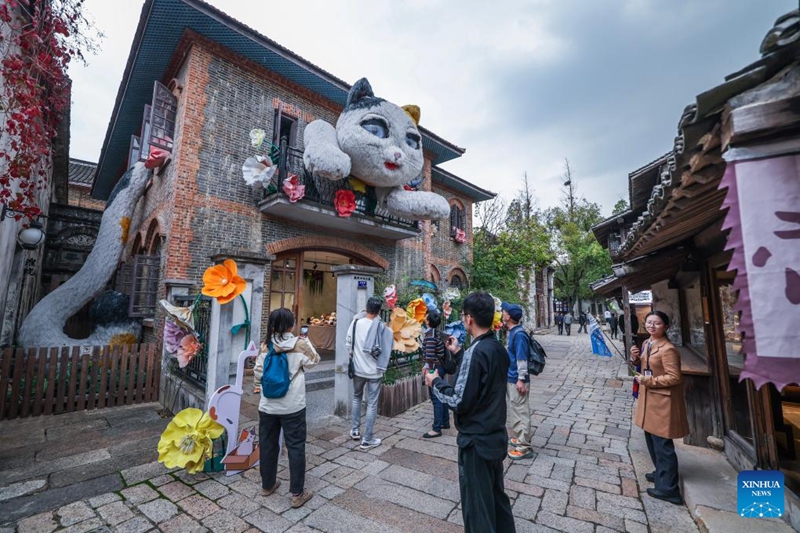 Tamasha la maisha ya intaneti laanza katika Mji wa Tongxiang, Zhejiang, China