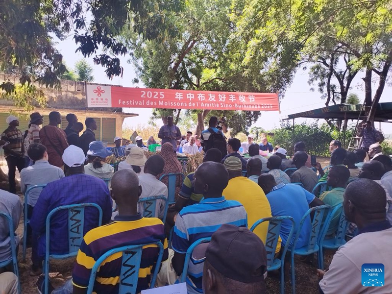 Picha hii iliyopigwa Novemba 6, 2025 ikionyesha Sherehe ya kwanza ya Mavuno ya Urafiki kati ya China na Burkina Faso iliyofanyika Boulbi, Mkoa wa Kadiogo, Burkina Faso. (Timu ya China ya msaada wa kiufundi wa kilimo/kupitia Xinhua)