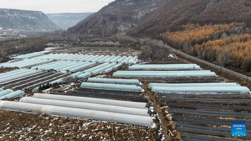 Barabara Kuu ya Kitaifa ya G331 ya China yaleta nguvu hai katika eneo la kando za barabara