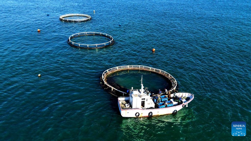 Uchumi wa uvuvi wa baharini wastawi katika Mkoa wa Shandong wa China