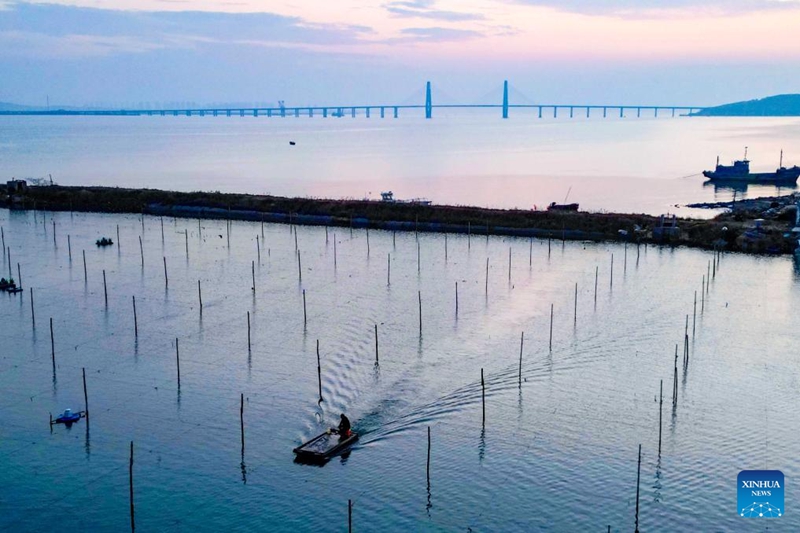 Uchumi wa uvuvi wa baharini wastawi katika Mkoa wa Shandong wa China