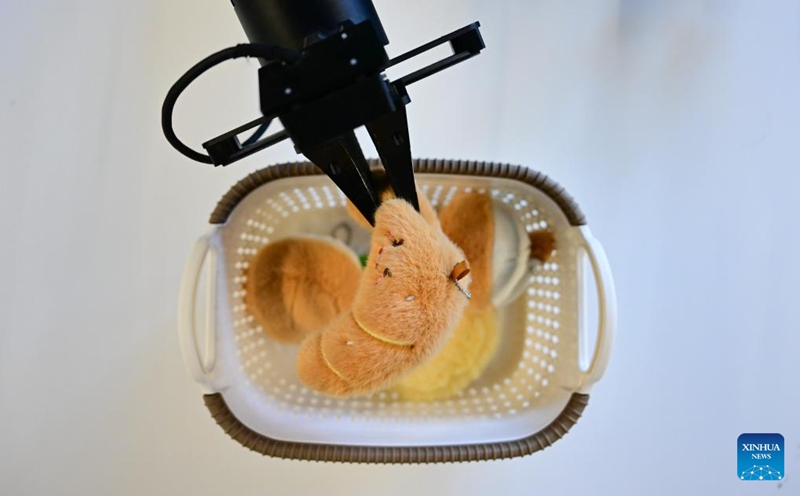 Mji wa Hefei katika Mkoa wa Anhui wa China wahimiza maendeleo ya viwanda vya roboti za kisasa