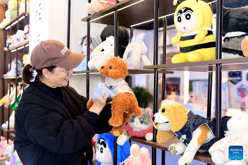 Mkazi akitazama mavazi ya wanyama kipenzi wa binadamu katika Wilaya ya Caoxian, mashariki mwa Mkoa wa Shandong, China, Novemba 29, 2025.(Xinhua/Guo Xulei)