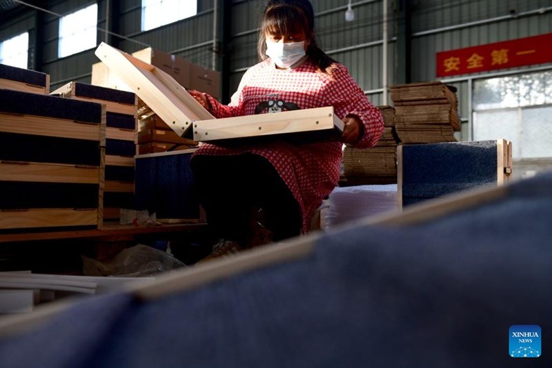 Uchumi wa wanyama kipenzi waendelea kwa kasi katika wilaya ya Caoxian mkoani Shandong, China