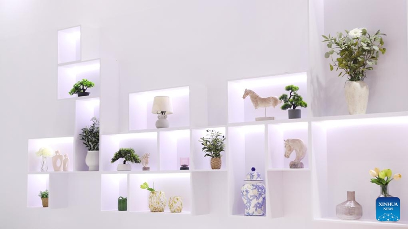 Mkutano wa 3 wa Wachina wenye Vipaji wanaoishi Ng’ambo kwa Ushirikiano na Maendeleo waanza Fujian