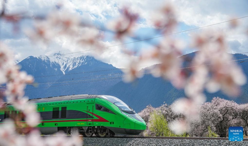 Treni ya Mwendokasi ya Fuxing ikiendeshwa kwenye sehemu ya Nyingchi ya reli ya Lhasa-Nyingchi katika Mkoa wa Xizang, kusini magharibi mwa China, Aprili 2, 2025. (Xinhua/Tenzin Nyida)