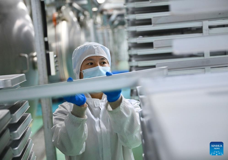 Wilaya ya Puyang ya China yajenga mfumo wa mnyororo kamili wa viwanda vya kuzalisha kahawa