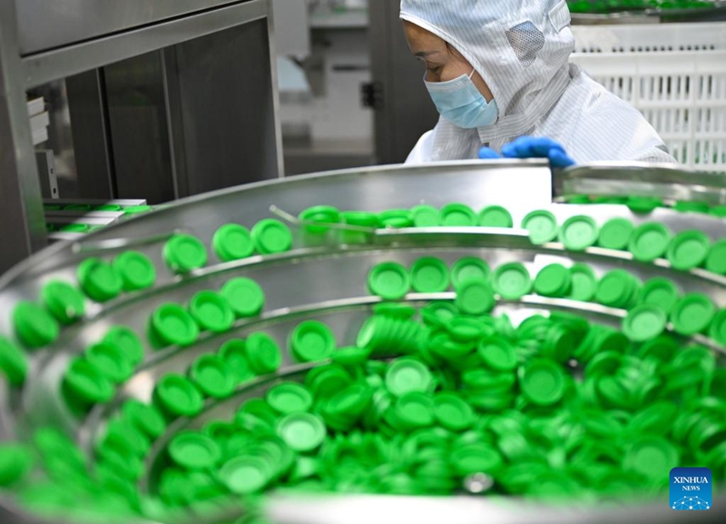 Wilaya ya Puyang ya China yajenga mfumo wa mnyororo kamili wa viwanda vya kuzalisha kahawa