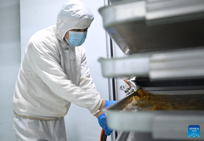 Wilaya ya Puyang ya China yajenga mfumo wa mnyororo kamili wa viwanda vya kuzalisha kahawa