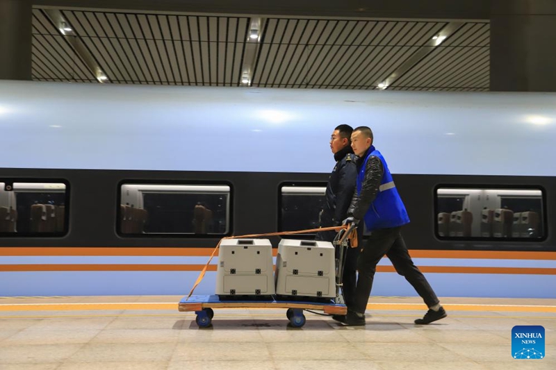 China yapanua huduma za kusafirisha wanyama vipenzi kwa reli ya mwendo-kasi kwa pilika za usafiri wa Sikukuu ya Mwaka Mpya wa Jadi