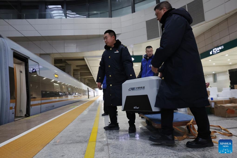 China yapanua huduma za kusafirisha wanyama vipenzi kwa reli ya mwendo-kasi kwa pilika za usafiri wa Sikukuu ya Mwaka Mpya wa Jadi