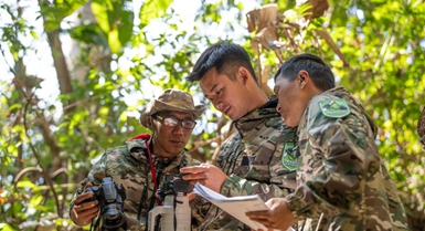 Habari Picha ya Timu ya Doria ya Ndege Hondohondo katika Mkoa wa Yunnan, China